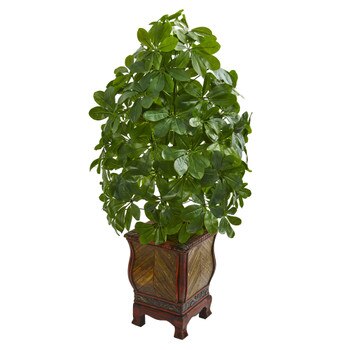 Schefflera Artificial Plant in Decorative Planter Real Touch - SKU #8230