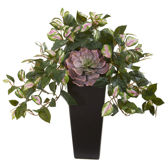 22 Echeveria Succulent and Hoya Artificial Plant in Black Vase - SKU #8496