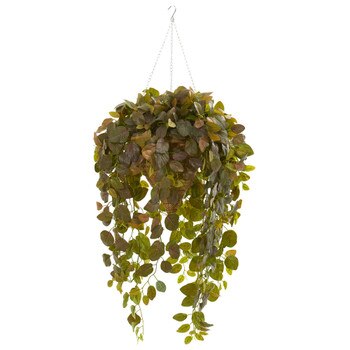 Fittonia Artificial Plant in Hanging Cone Basket Real Touch - SKU #8546-BG