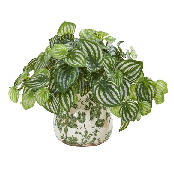 Watermelon Peperomia Artificial Plant in Vase Real Touch - SKU #8557