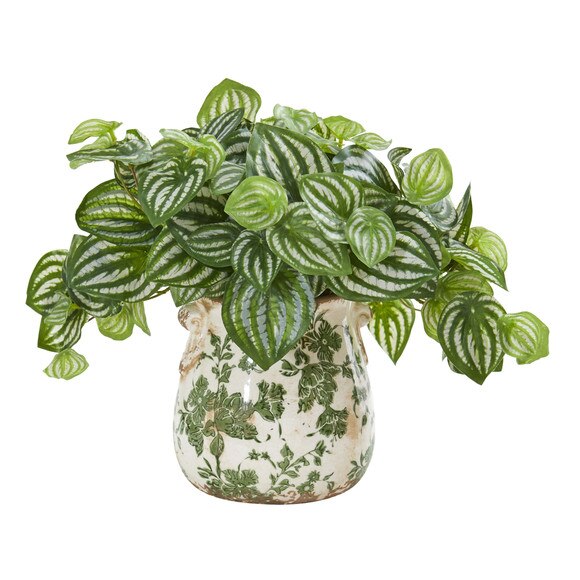 Watermelon Peperomia Artificial Plant in Vase Real Touch - SKU #8557 - 1