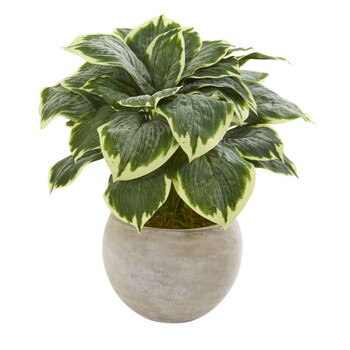 26 Variegated Hosta Artificial Plant in Sand Colored Bowl - SKU #8570