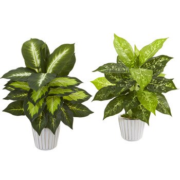 19 Dieffenbachia Artificial Plant in White Vase Set of 2 - SKU #8749-S2