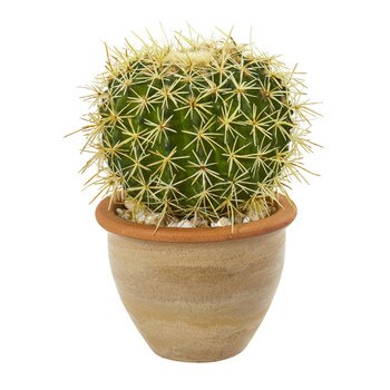 10 Cactus Artificial Plant in Decorative Ceramic Planter - SKU #8784
