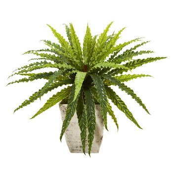 24 Asplenium Artificial Plant in Country White Planter - SKU #8794
