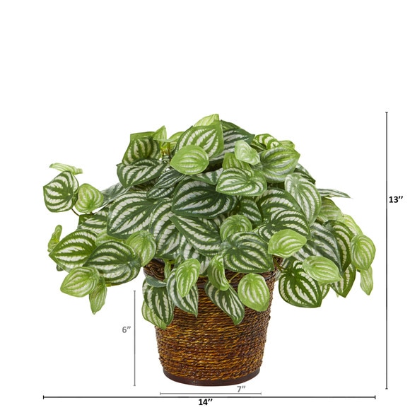 13 Watermelon Peperomia Artificial Plant in Basket Real Touch - SKU #8856 - 1