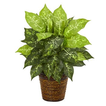 19 Diffenbachia Artificial Plant in Basket - SKU #8871