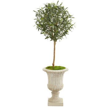 57 Olive Artificial Tree in Decorative Urn - SKU #9227