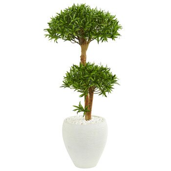 3 Bonsai Styled Podocarpus Artificial Tree in White Planter - SKU #9236