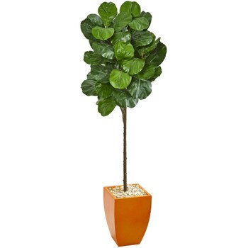 6 Fiddle Leaf Artificial Tree in Orange Planter - SKU #9260