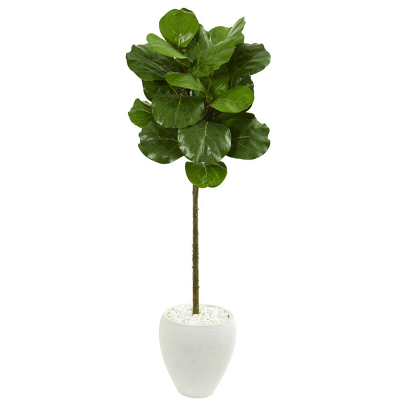 5 Fiddle Leaf Artificial Tree in White Planter - SKU #9261