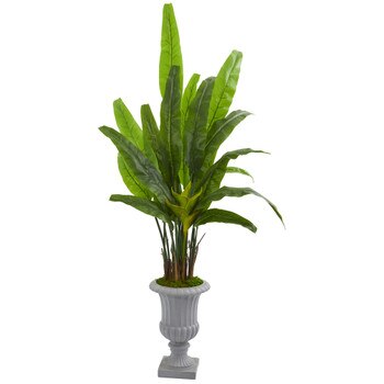 5.5 Travelers Palm Artificial Tree in Gray Urn - SKU #9272