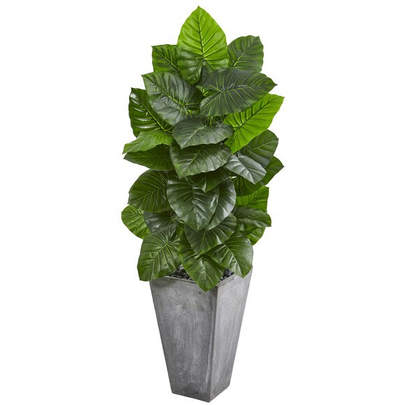 63 Taro Artificial Plant in Tall Cement Planter - SKU #9279