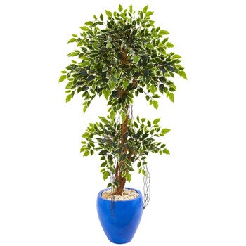 4.5 Variegated Ficus Artificial Tree in Blue Planter - SKU #9386