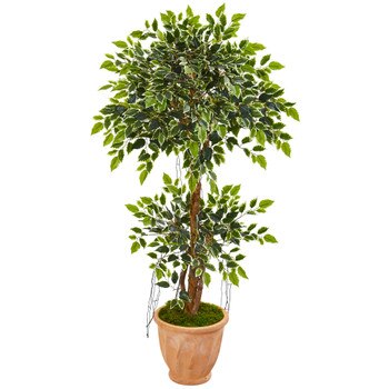 53 Variegated Ficus Artificial Tree in Terra Cotta Planter - SKU #9390