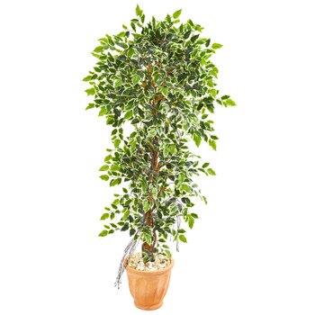 64 Elegant Ficus Artificial Tree in Terra Cotta Planter - SKU #9408
