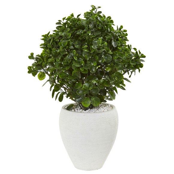 32 Peperomia Artificial Plant in White Planter UV Resistant Indoor/Outdoor - SKU #9468