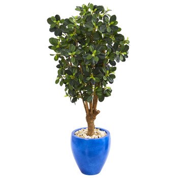 50 Panda Ficus Artificial Tree in Blue Planter - SKU #9506