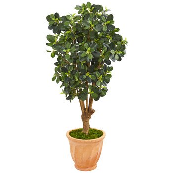 46 Panda Ficus Artificial Tree in Terra-Cotta Planter - SKU #9507