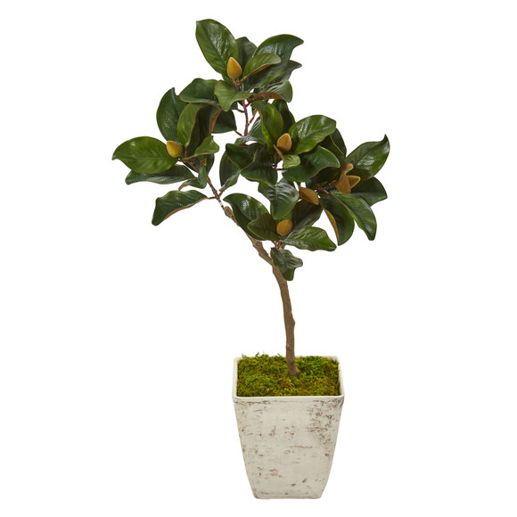 42 Magnolia Leaf Artificial Tree in Country White Planter - SKU #9638