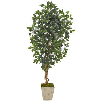 65 Ficus Artificial Tree in Country White Planter - SKU #9857