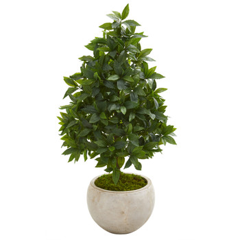 33 Sweet Bay Cone Topiary Artificial Tree in Sand Colored Planter - SKU #9925