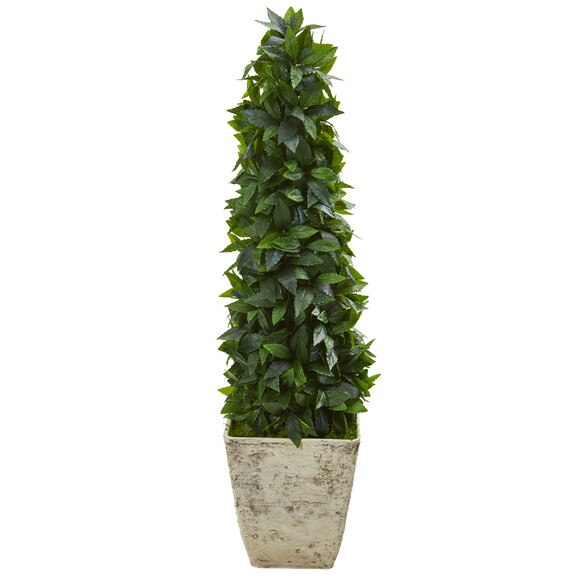 38 Sweet Bay Cone Topiary Artificial Tree in Country White Planter - SKU #9935
