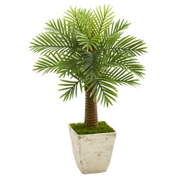 38 Robellini Palm Artificial Tree in Country White Planter - SKU #9937