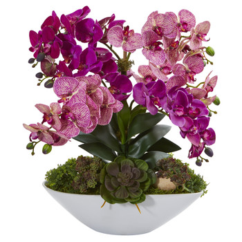 20 Phalaenopsis Orchid and Succulent Artificial Arrangement in White Vase - SKU #A1379