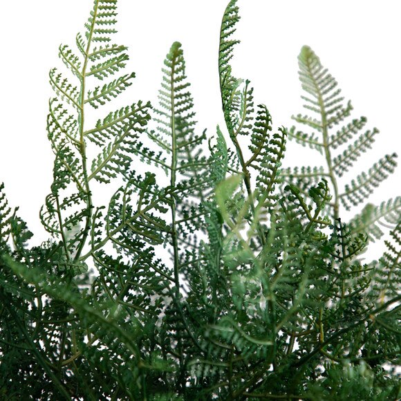 17 Artificial Forest Fern Arrangement in Glass Vase - SKU #A2176 - 2