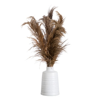 30 Dried Natural Pampas Arrangement in Ceramic Vase - SKU #A2235