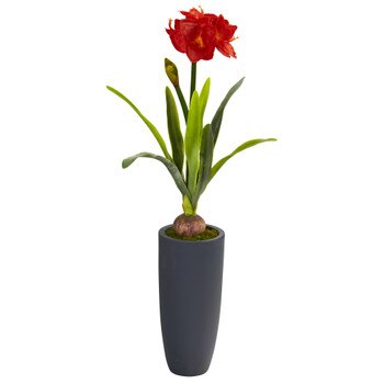 3.5 Amaryllis Artificial Plant in Gray Planter - SKU #P1143