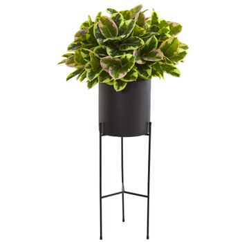 55 Rubber Leaf Artificial Plant in Black Planter with Stand Real Touch - SKU #P1213
