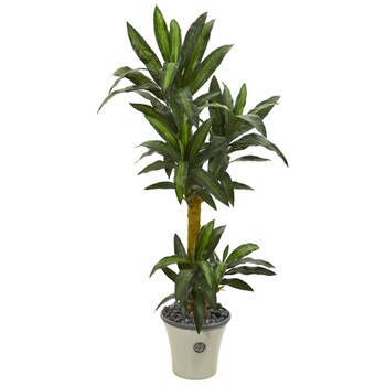 5 Yucca Artificial Plant in Decorative Planter - SKU #P1238