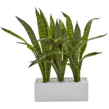 18 Sansevieria Artificial Plant in Glazed White Planter - SKU #P1274