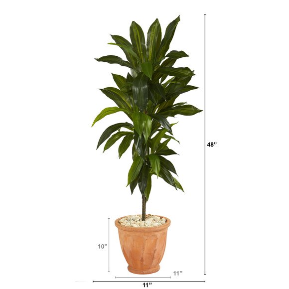 4 Dracaena Artificial Plant in Terra-Cotta Planter Real Touch - SKU #P1329 - 1