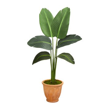 49 Travelers Palm Artificial Plant in Terra-Cotta Planter Real Touch - SKU #P1399