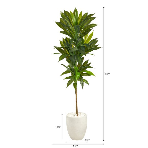62 Dracaena Artificial Plant in White Planter Real Touch - SKU #P1411 - 1