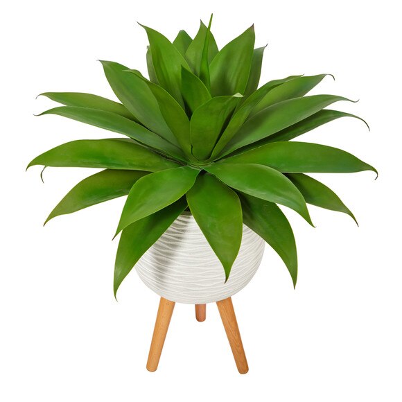 33 Agave Succulent Artificial Plant in White Planter with Stand - SKU #P1425 - 2