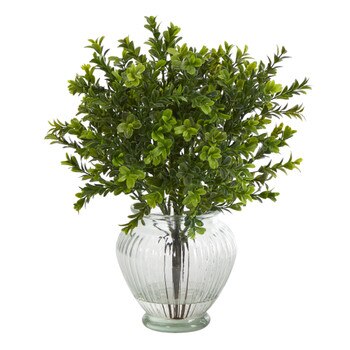 14 Boxwood Artificial Plant in Glass Planter Indoor/Outdoor - SKU #P1438