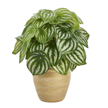 11 Watermelon Peperomia Artificial Plant in Ceramic Planter Real Touch - SKU #P1446