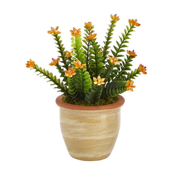 10 Flowering Sedum Succulent Artificial Plant in Ceramic Planter - SKU #P1454