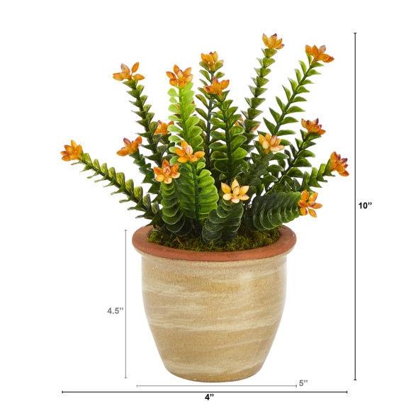 10 Flowering Sedum Succulent Artificial Plant in Ceramic Planter - SKU #P1454 - 1