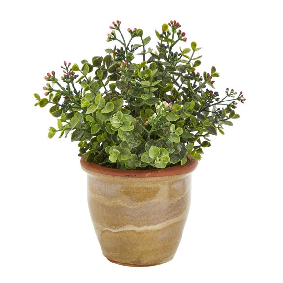 10 Eucalyptus and Sedum Succulent Artificial Plant in Ceramic Planter - SKU #P1456