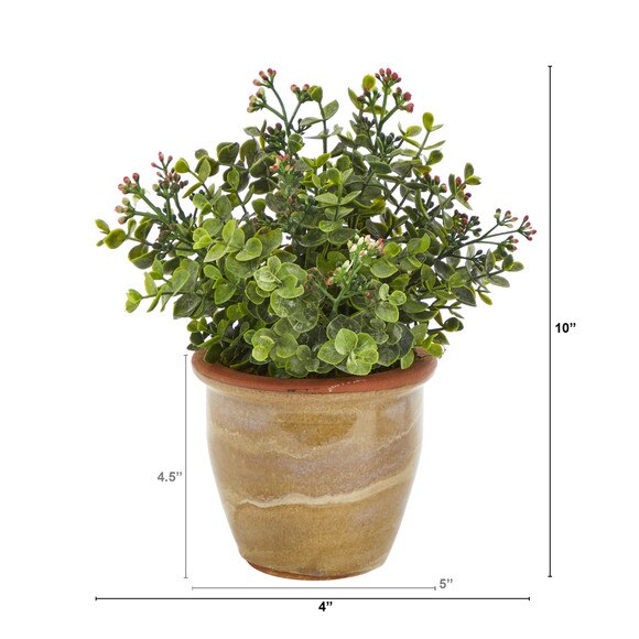 10 Eucalyptus and Sedum Succulent Artificial Plant in Ceramic Planter - SKU #P1456 - 1