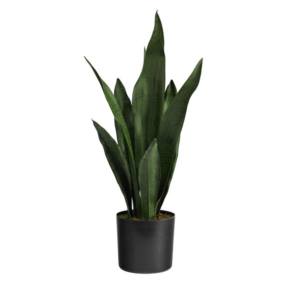 22 Sansevieria Artificial Plant - SKU #P1504