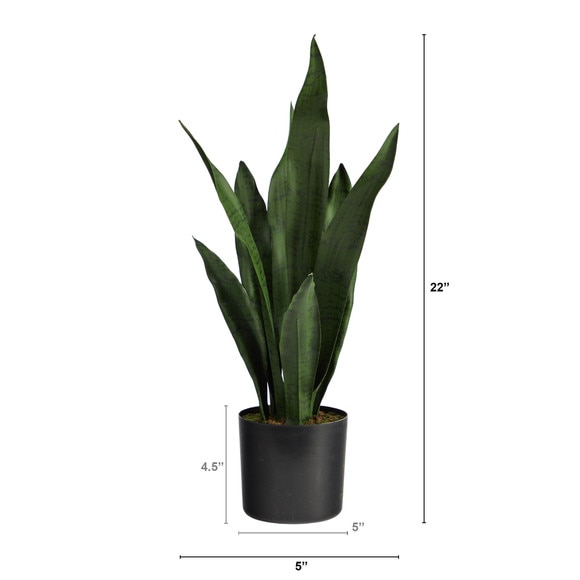 22 Sansevieria Artificial Plant - SKU #P1504 - 1