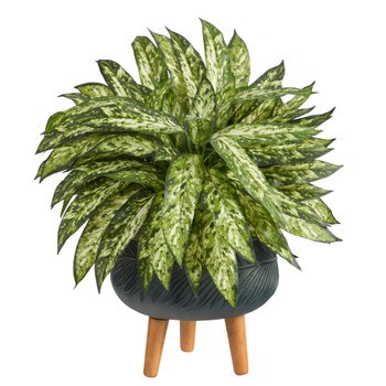 18 Aglaonema Artificial Plant in Black Planter with Stand - SKU #P1581