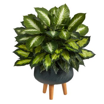 2 Golden Dieffenbachia Artificial Plant in Black Planter with Stand - SKU #P1615