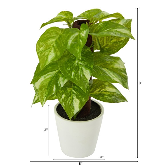 9 Pothos Artificial Plant in White Planter Real Touch - SKU #P1649 - 1